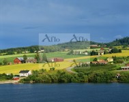 aflo_UUSA005901